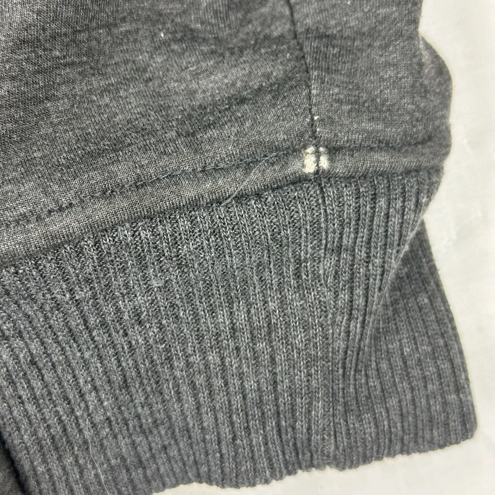 Tony Hawk Zip Up Hoodie Sherpa Lined Flame Phoenix‎ Graphic Gray Boys M (10/12)